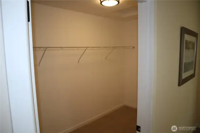primary bedroom walk in closet