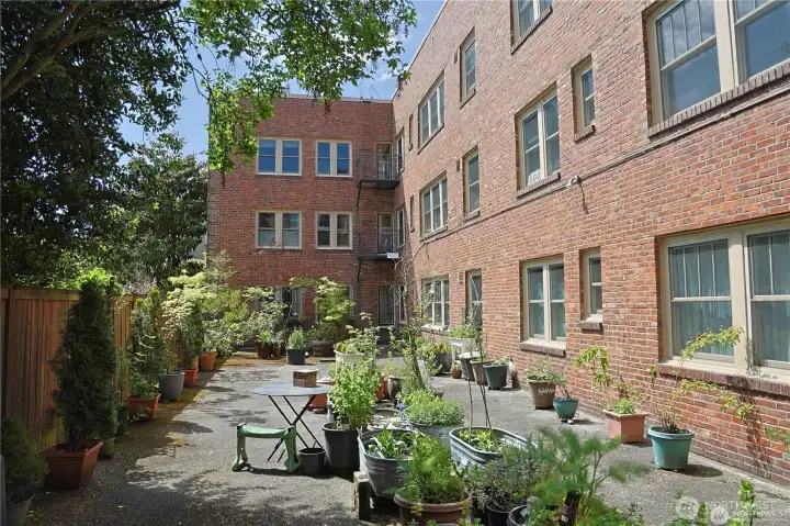 ~back patio garden area