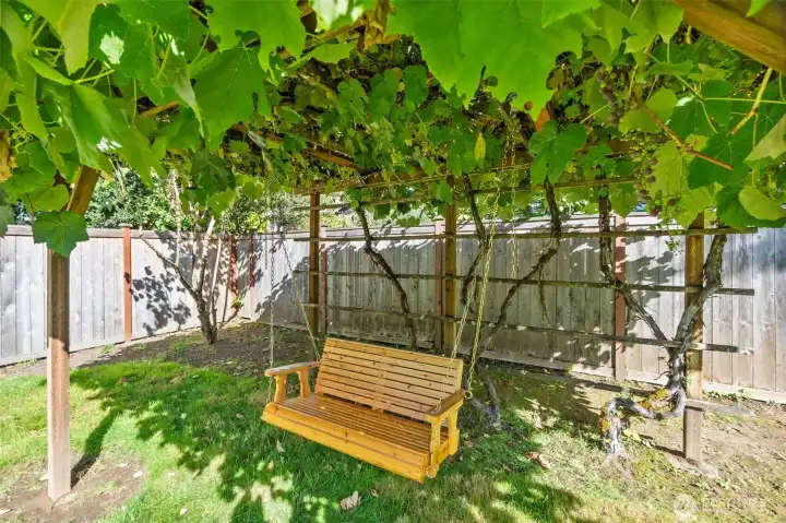 ...is it also home to these amazing grapevines--see the harvest for yourself!