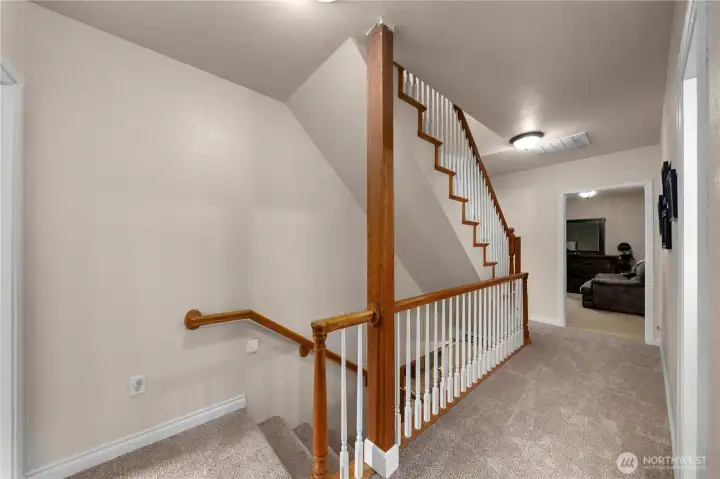 Third Level - unfinished space