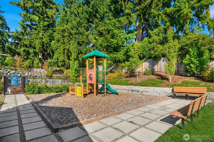 Daily fun and the gathering place!