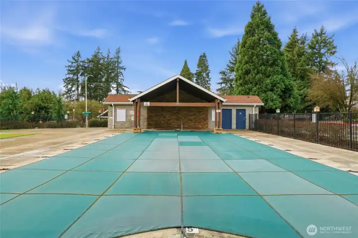 Community Swimming Pool