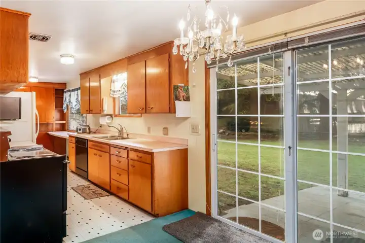 Slider to huge, covered patio and backyard.