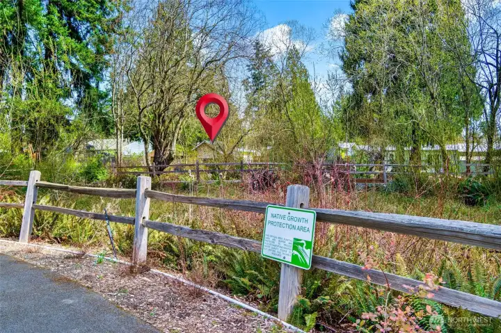 A view of the home from one of the numerous walkways.