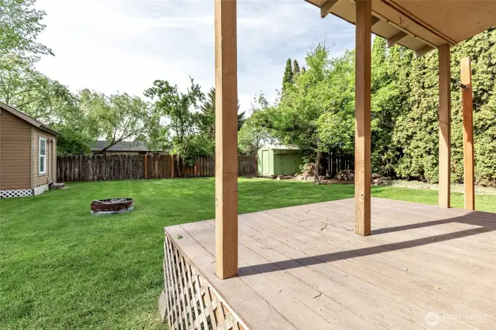 Backyard