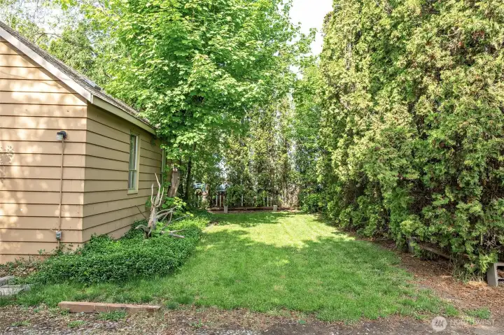 Front yard