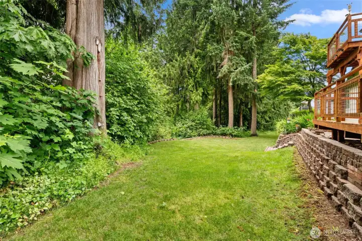 Backyard/Greenbelt