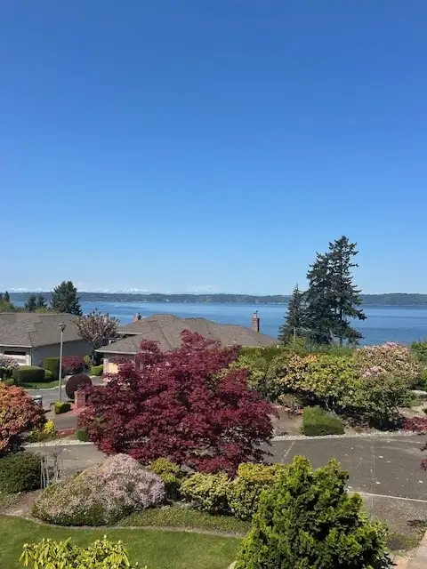 View from front of house