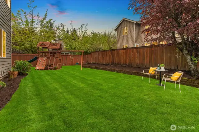 Another view of the backyard.