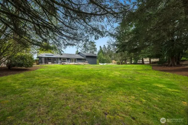Privacy with trees.
