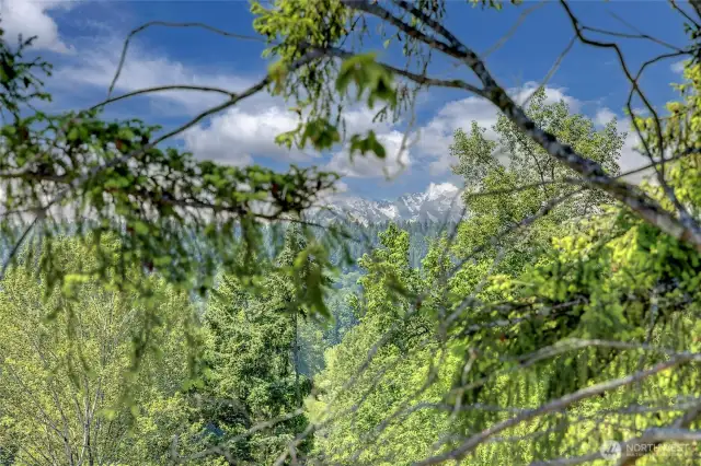 Greenbelt view with mountain backdrop, found in upper bedroom (photos of lot34, same floorplan)
