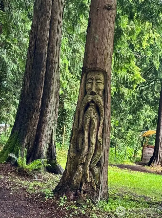 And a little extra character to add to this unique and beautiful property