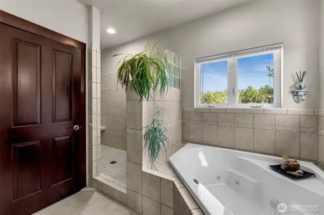 Primary bath, jetted tub, door to big closet