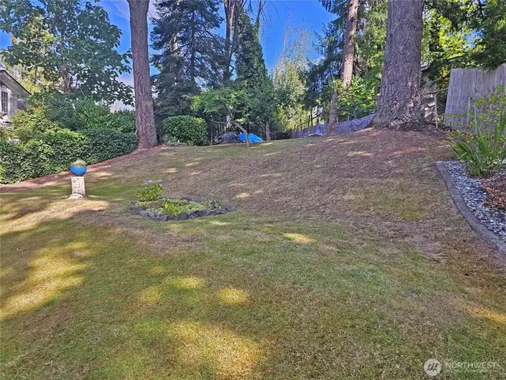Back yard open space