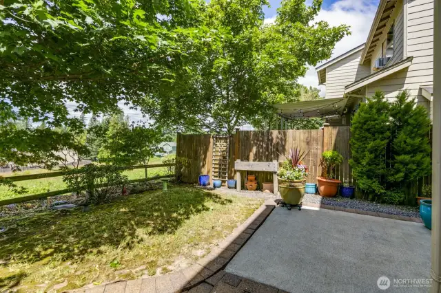 Backyard well maintained
