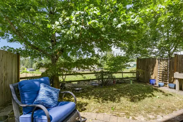 Open backyard to clear field and easy to maintain