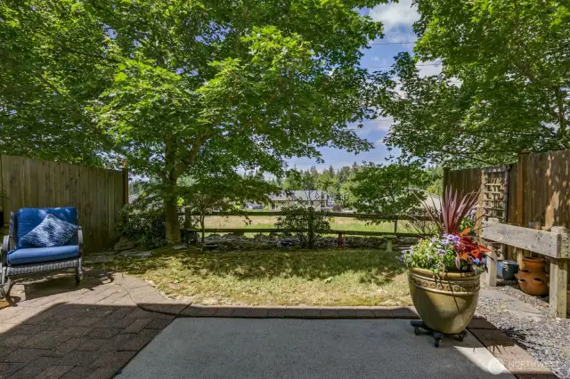 Look how open this yard is without have the fence close you in