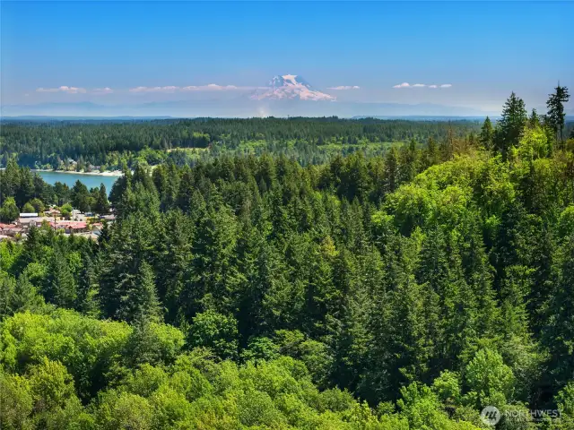Wonderful Steamboat Island Community! Home to the Griffin School District, Steamboat Tennis & Athletic Club, coffee shops, Steamboat Square featuring Health and Wellness Spa, Chiropractic, Tipsy Whale and more! Mere minutes to Westside Olympia.