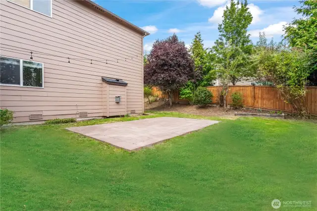 Back Yard