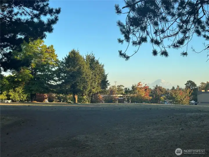 Beautiful views of Mount Rainier from Puget Sound Park