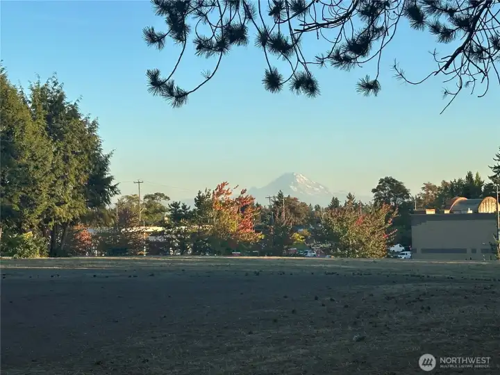 Beautiful views of Mount Rainier from Puget Sound Park