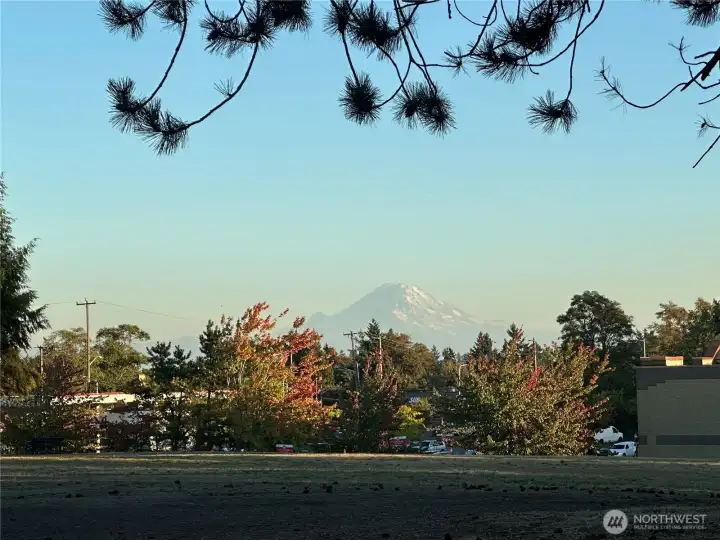Beautiful views of Mount Rainier from Puget Sound Park