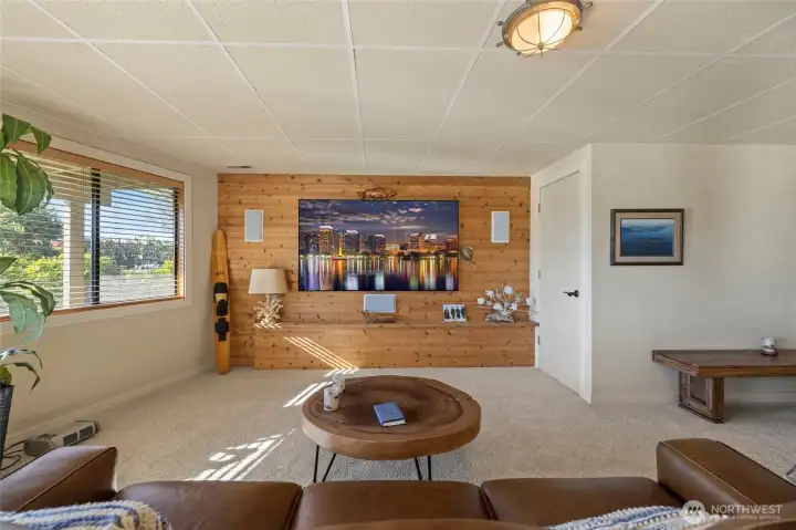 Downstairs media room