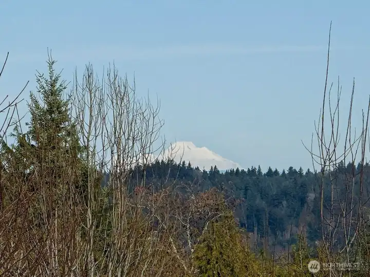 Views of Mount Baker