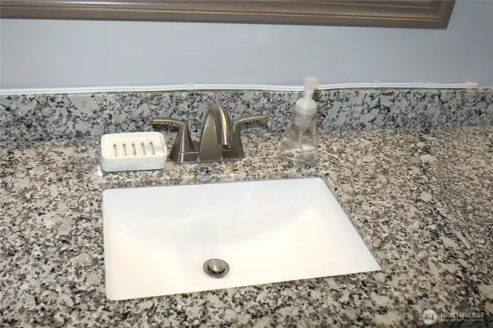 CLOSE-UP OF THE QUARTZ COUNTERTOP!