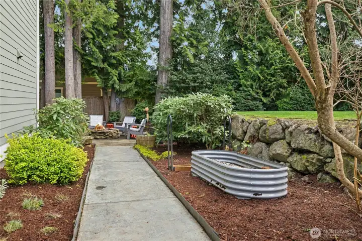 Sunny raised garden beds