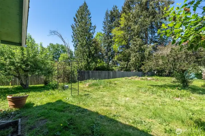 Very large yard