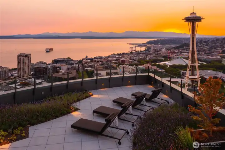 Roof Lounge