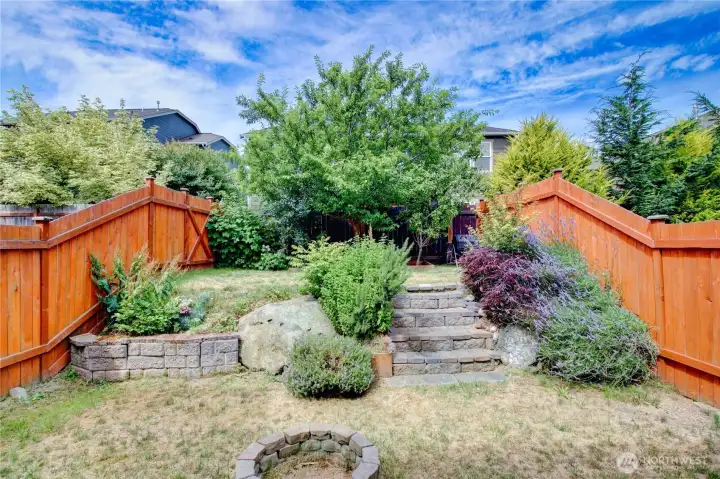 Terraced backyard Terraced backyard