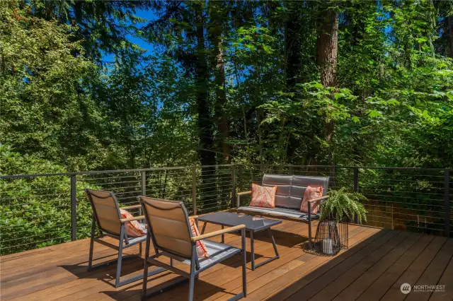 Elegant custom deck crafted from durable Brazilian walnut wood, ideal for outdoor gatherings and relaxation.