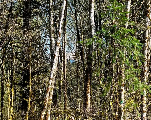 Mountain Peaking through from ground level of build site.