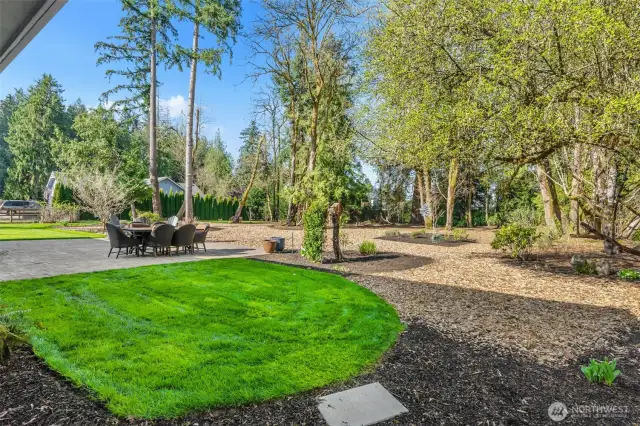 Grassy area to right of Patio