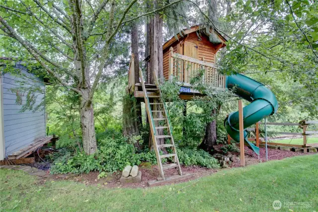 Treehouse
