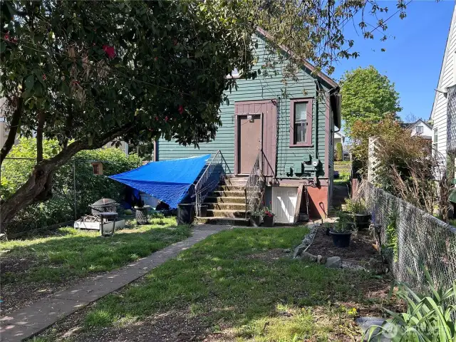Back Yard