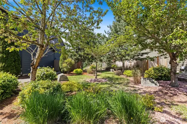 Open space on north side of home