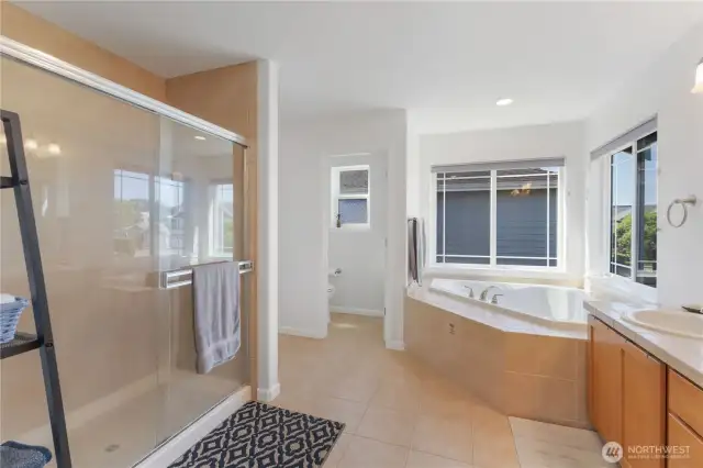 Additional view of the primary bathroom.