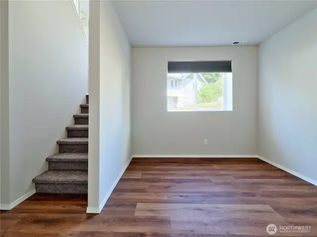 Downstairs family room