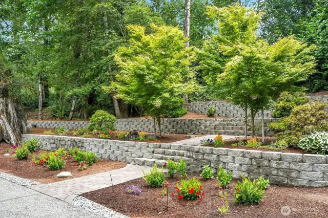 Gardens along the driveway.