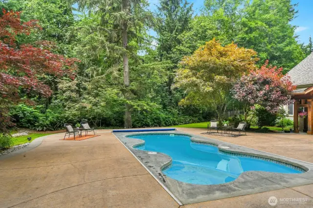 The pool was in constant use.