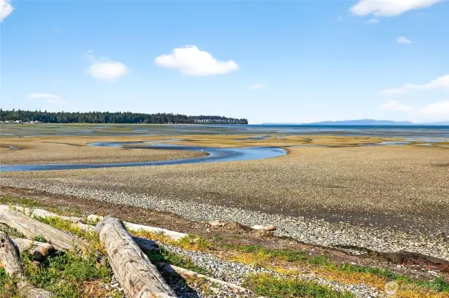 Birch Bay tides ebb and flow throughout the day. Sometimes it's full to the berm other times the water is way out to sea!