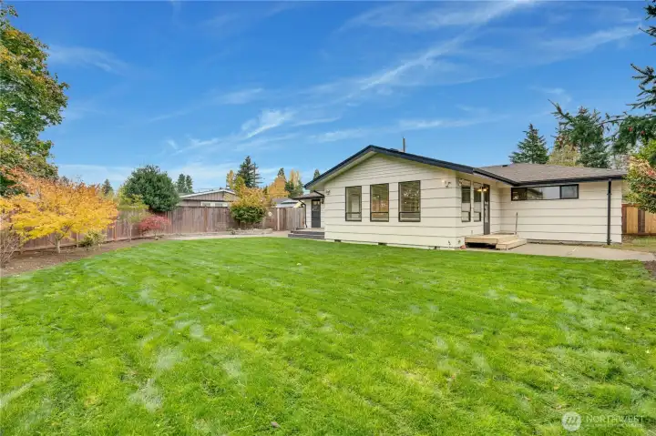 New sod in September.