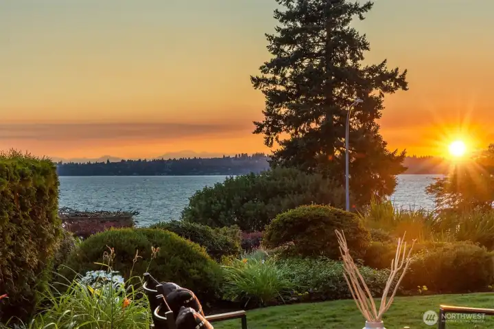 From the living room.