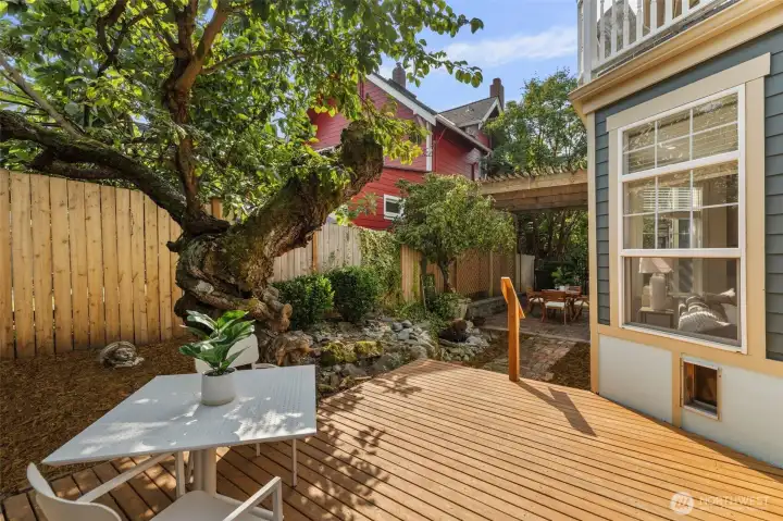 A great spot to chill out under this special tree.