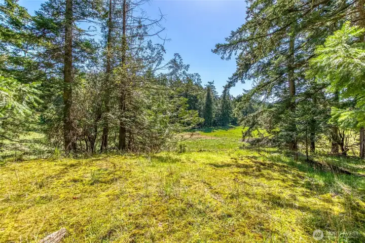 View from cabin towards neighboring property