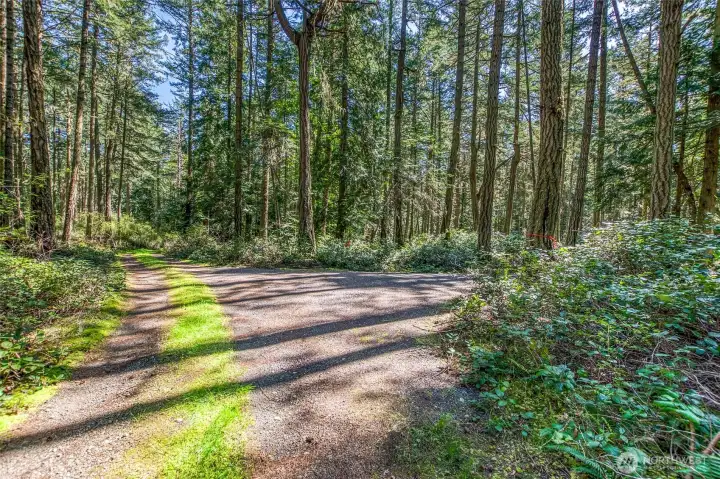 Property driveway on right