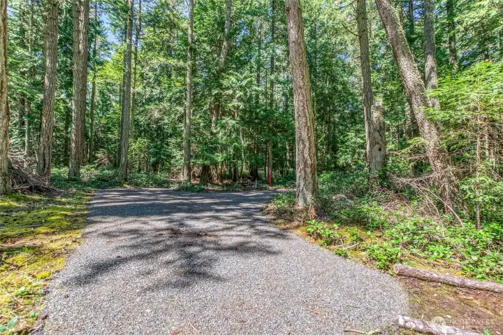 Looking back towards beginning of driveway, path to cabin on the right